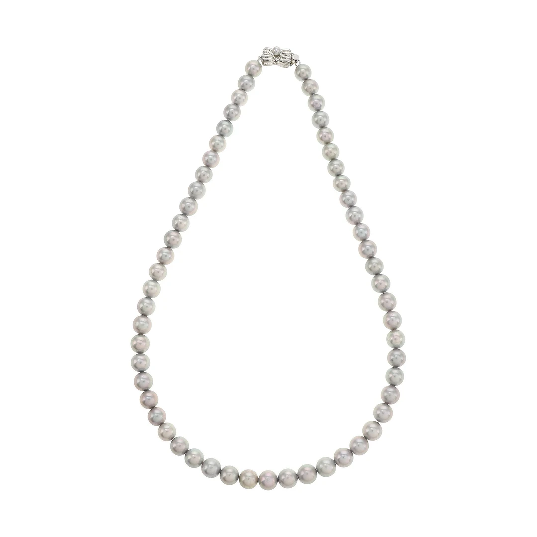 红布林/C1开箱/塔思琦/93527423/z/121107