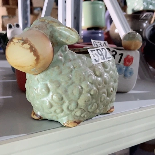 多肉植物花盆花盆