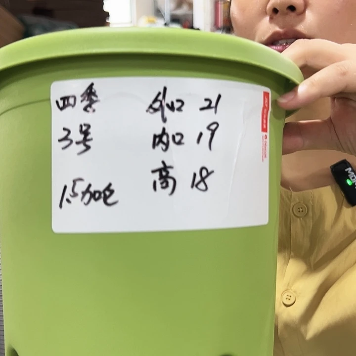 特价3号四季果绿色10个带托