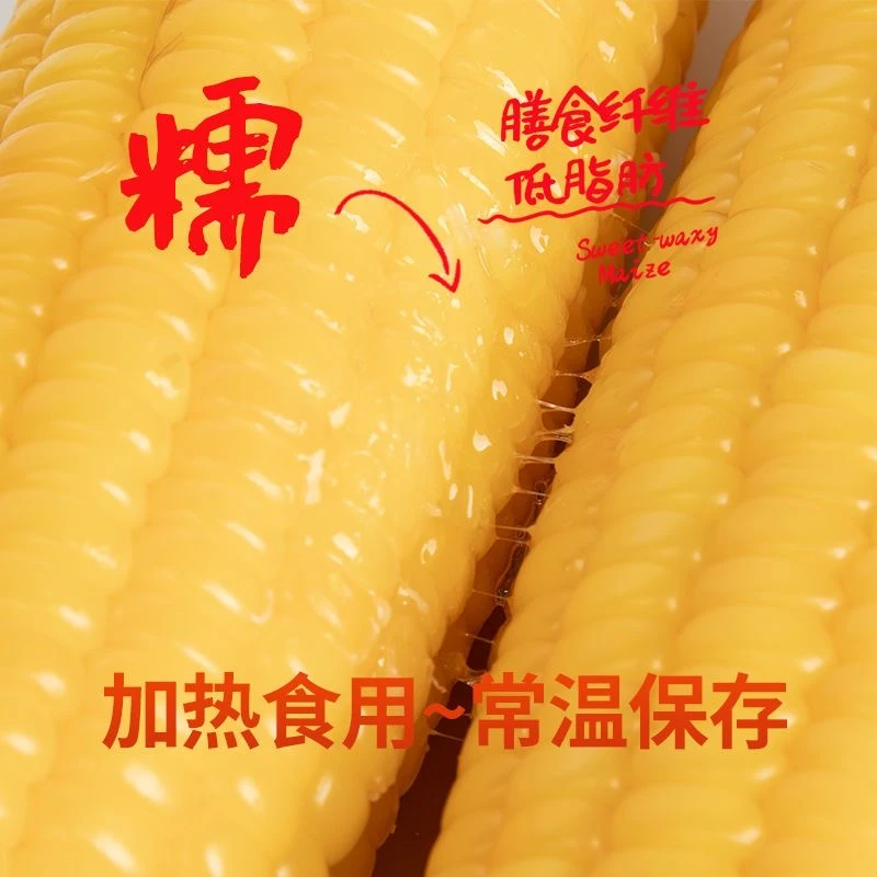 正宗东北黏玉米黄糯玉米甜糯玉米甜糯糯玉米（店铺专享福利款）
