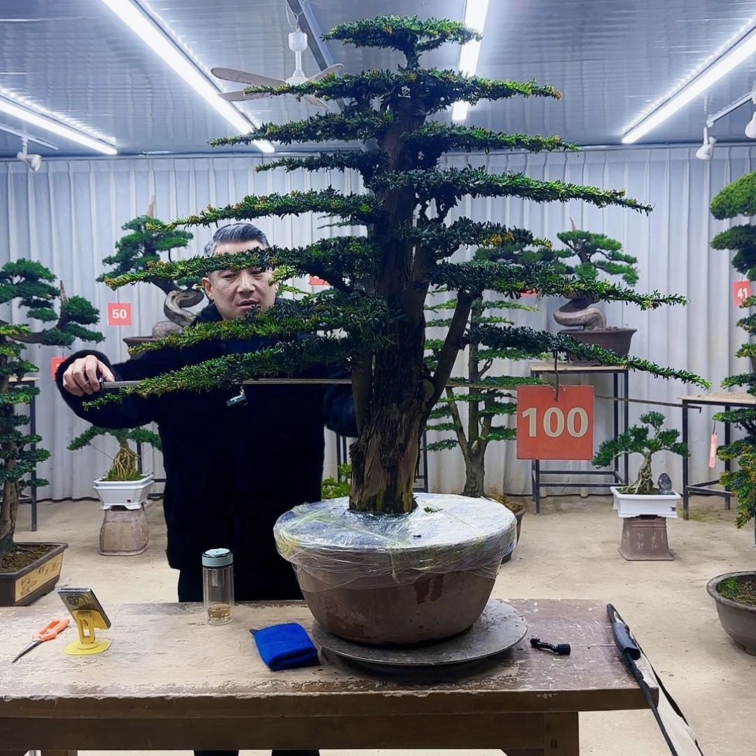 牧***号无花朵000000000000000000