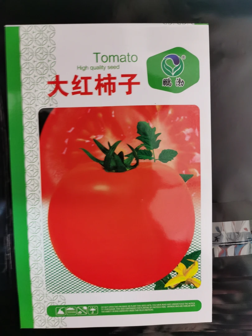 大红番茄柿子种籽