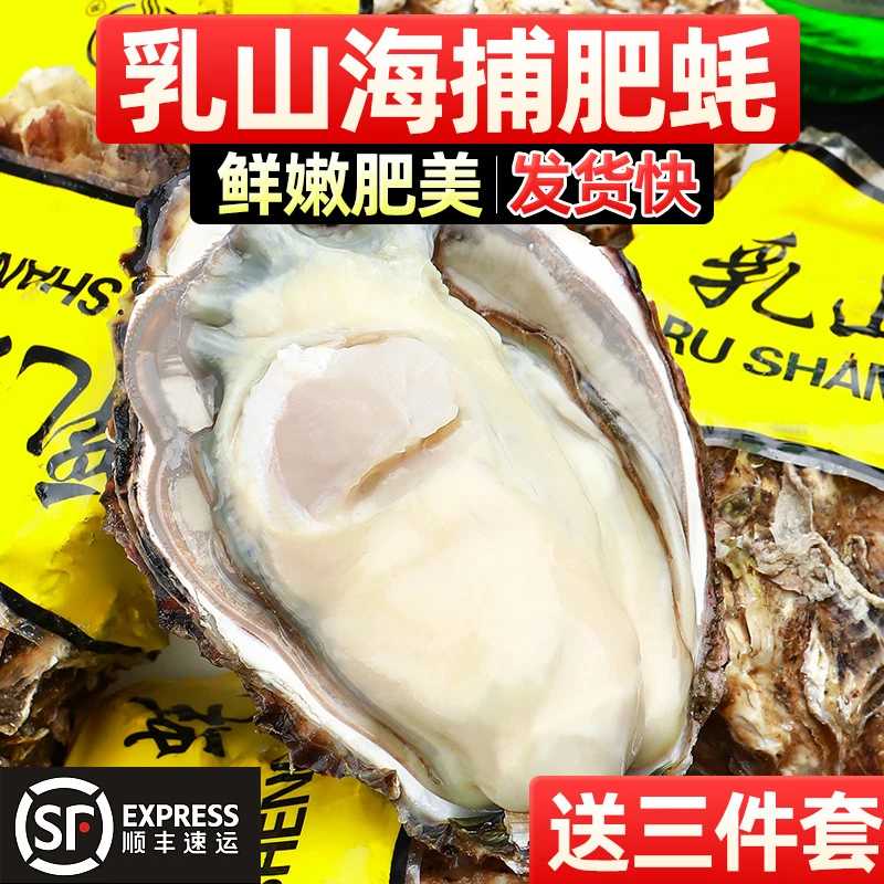 【5斤送5斤 发10斤】精品正宗乳山生蚝大号鲜活海鲜肥美