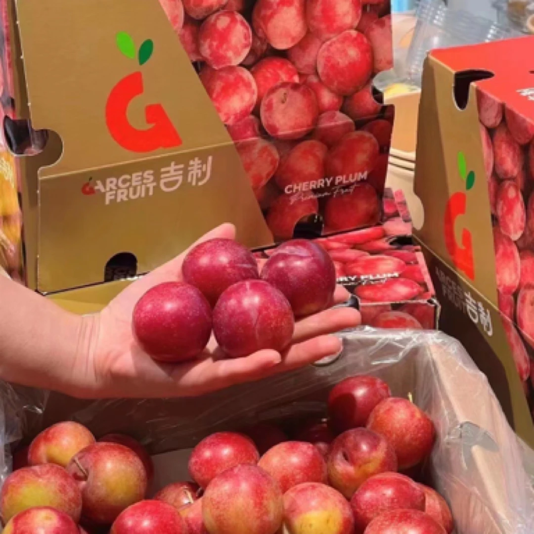 智利樱桃李5J5斤装 脆甜可口 顺丰包邮