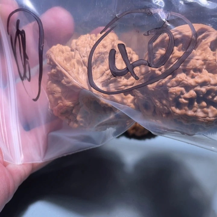 文玩核桃吊坠40呃呃呃