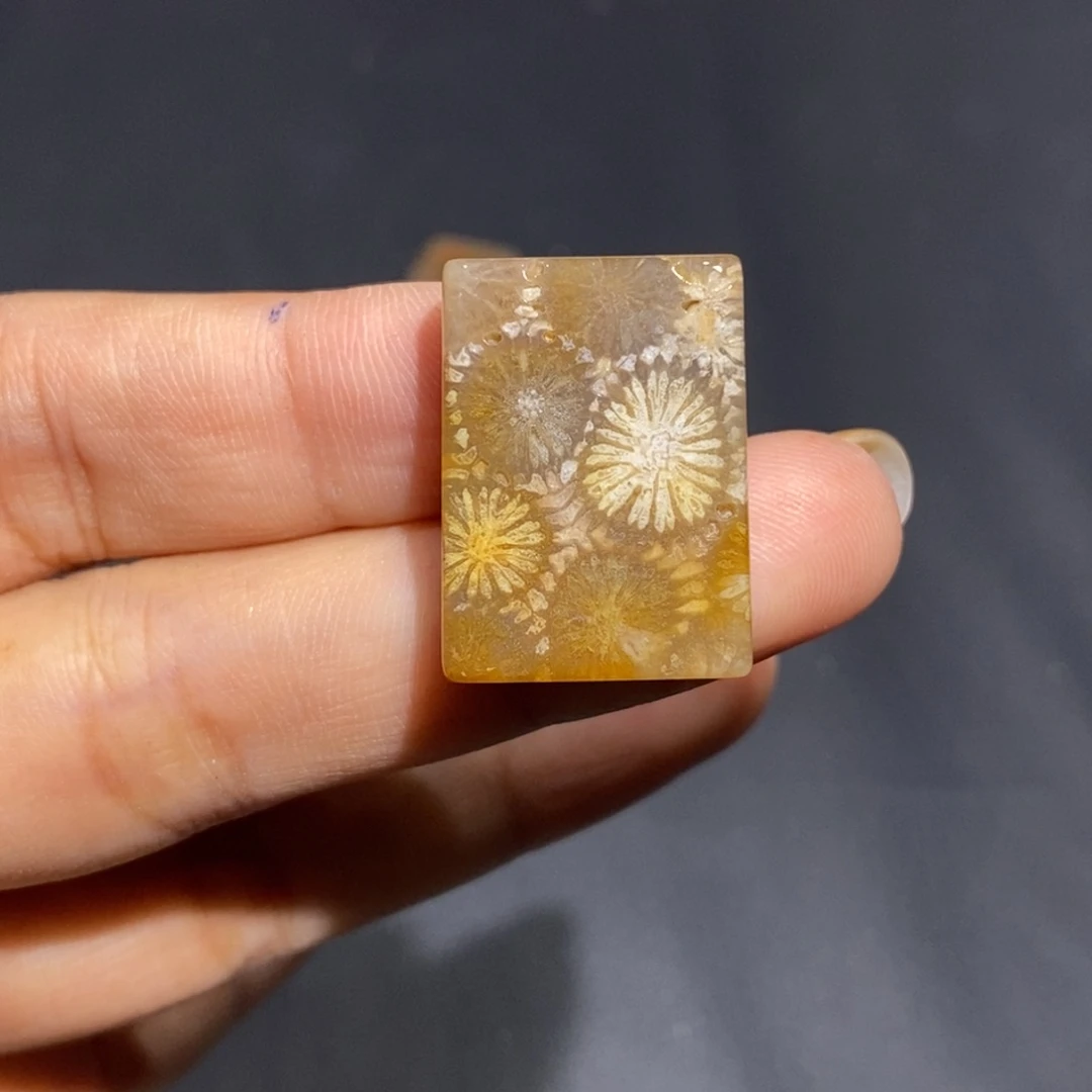 【闪购商品】未镶嵌珊瑚玉硅化玉