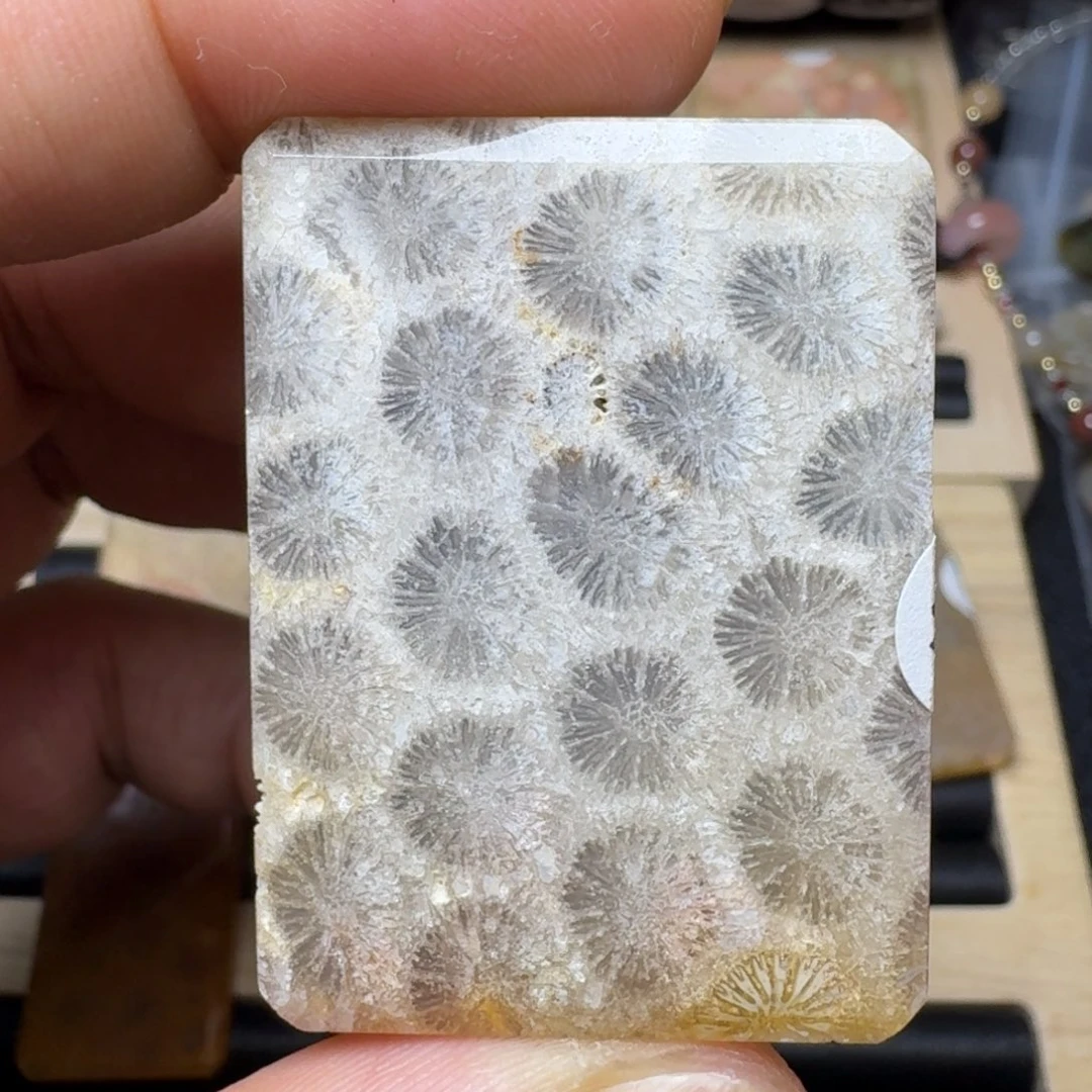 未镶嵌纯天然色有机玉石保真色硅化玉