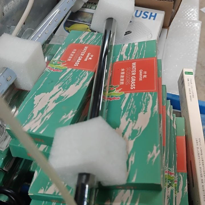 海星龙鱼和鹦鹉灯4w