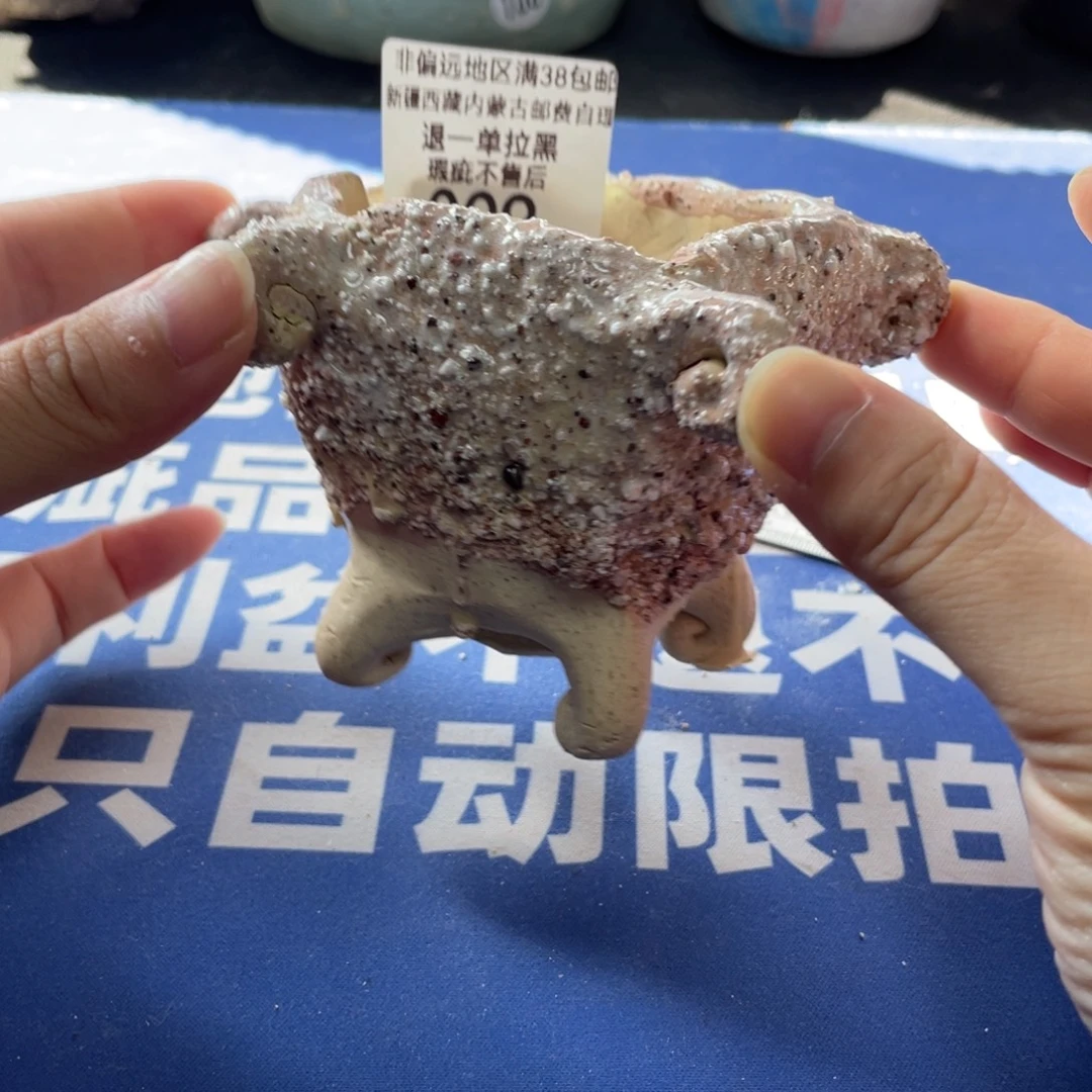 特价微瑕疵不退不换哦9