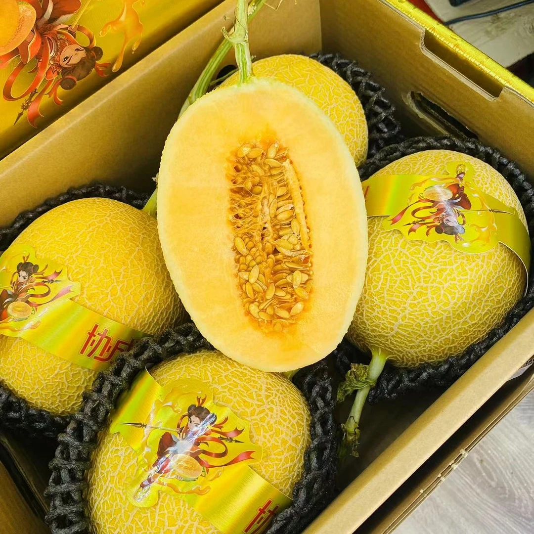 脆甜哈密瓜一箱4粒装新鲜山东省