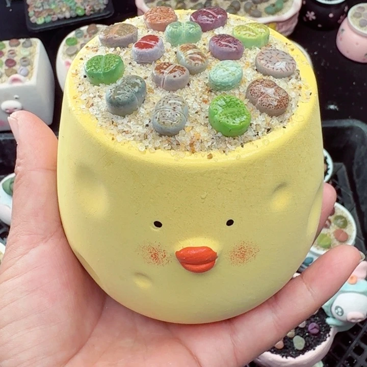 598零下地区记得拍保温箱