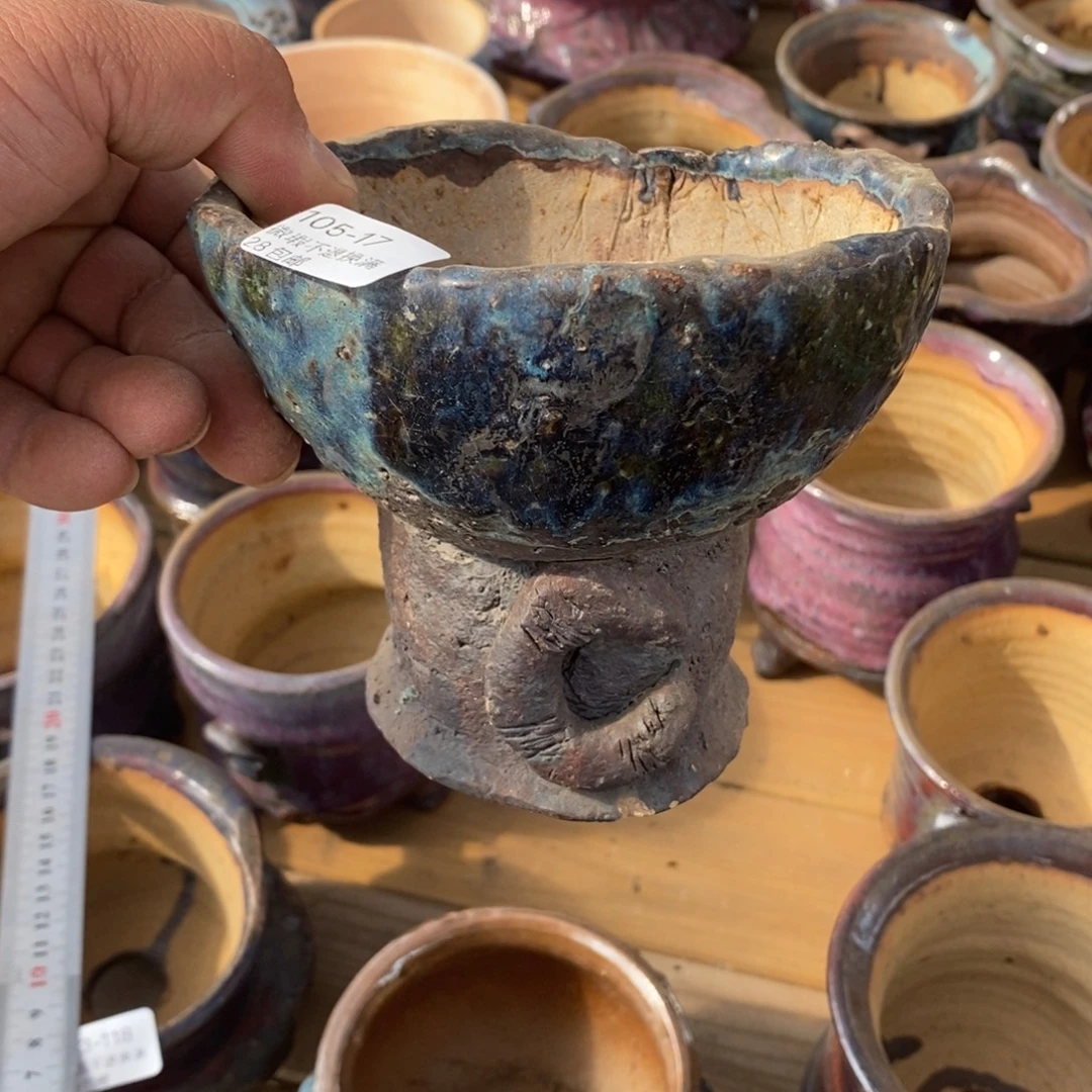 17号花盆内11.5高17