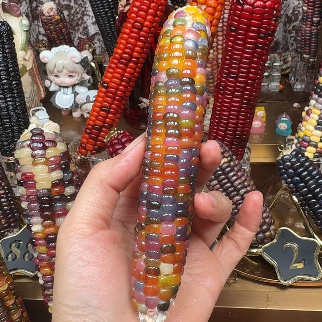 煎****大叶紫檀（黑酸枝木类）