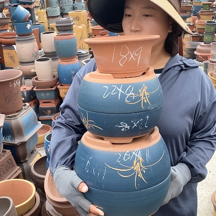 紫砂花盆紫砂花盆盆栽植物花卉苗木种植