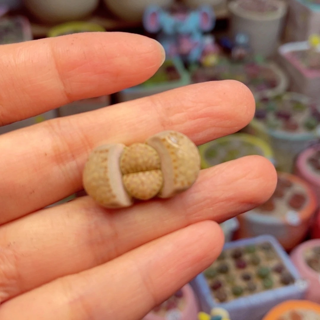 417。88888888888888888