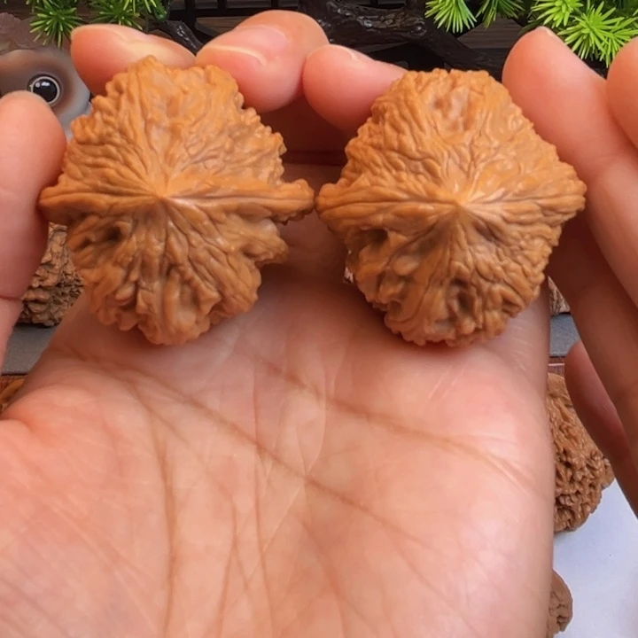 木质类文玩核桃大孤石39