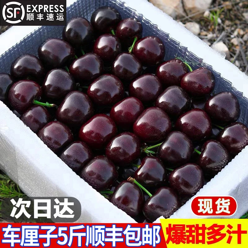 顺丰空运智利车厘子进口大樱桃J-5JJJJ新鲜水果礼盒装内附果径卡