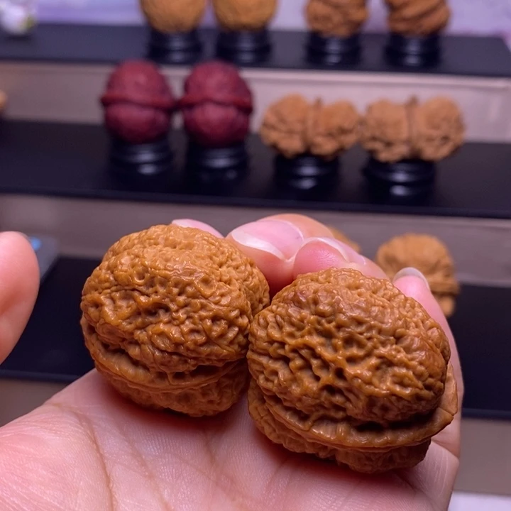 文玩核桃把件古树蚂蚁开背金蟾王31