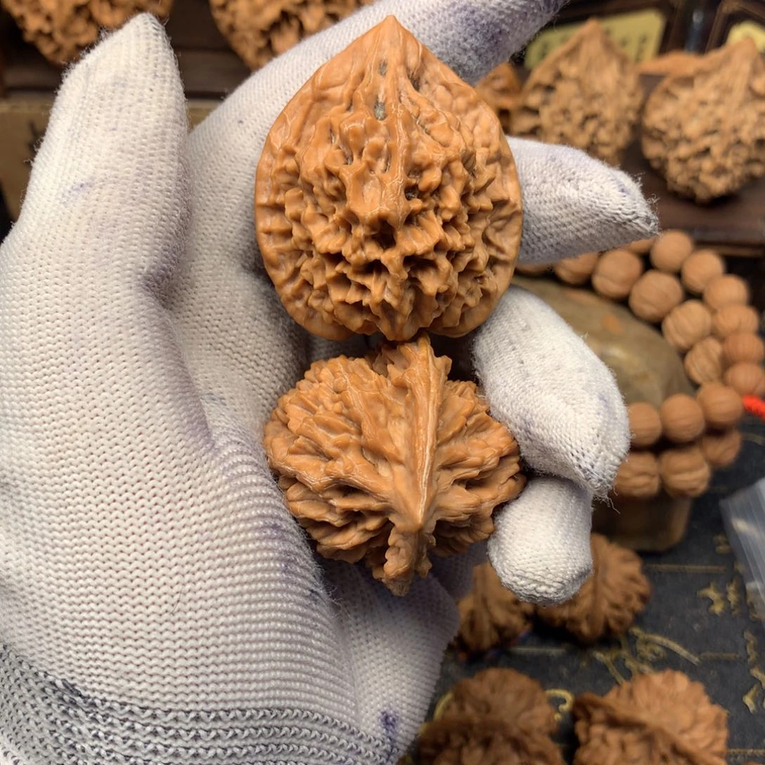 世****40尺秦岭野生鸡心