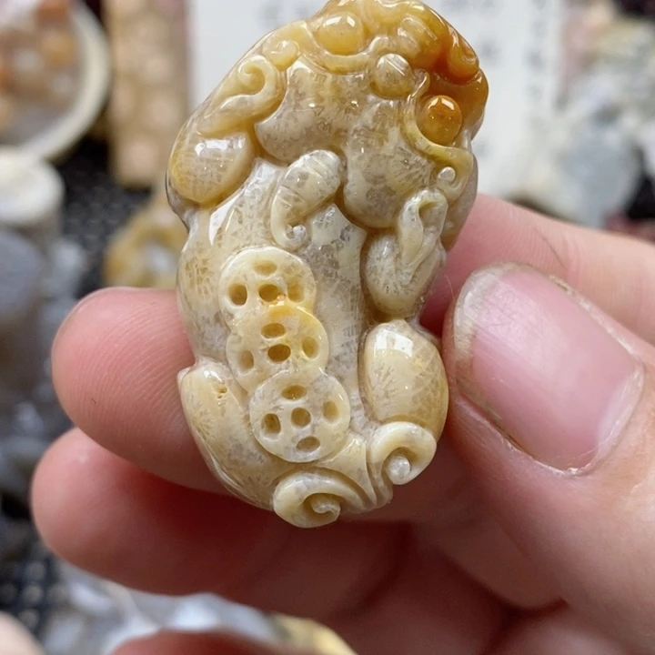 颈饰未镶嵌硅化珊瑚（珊瑚玉）