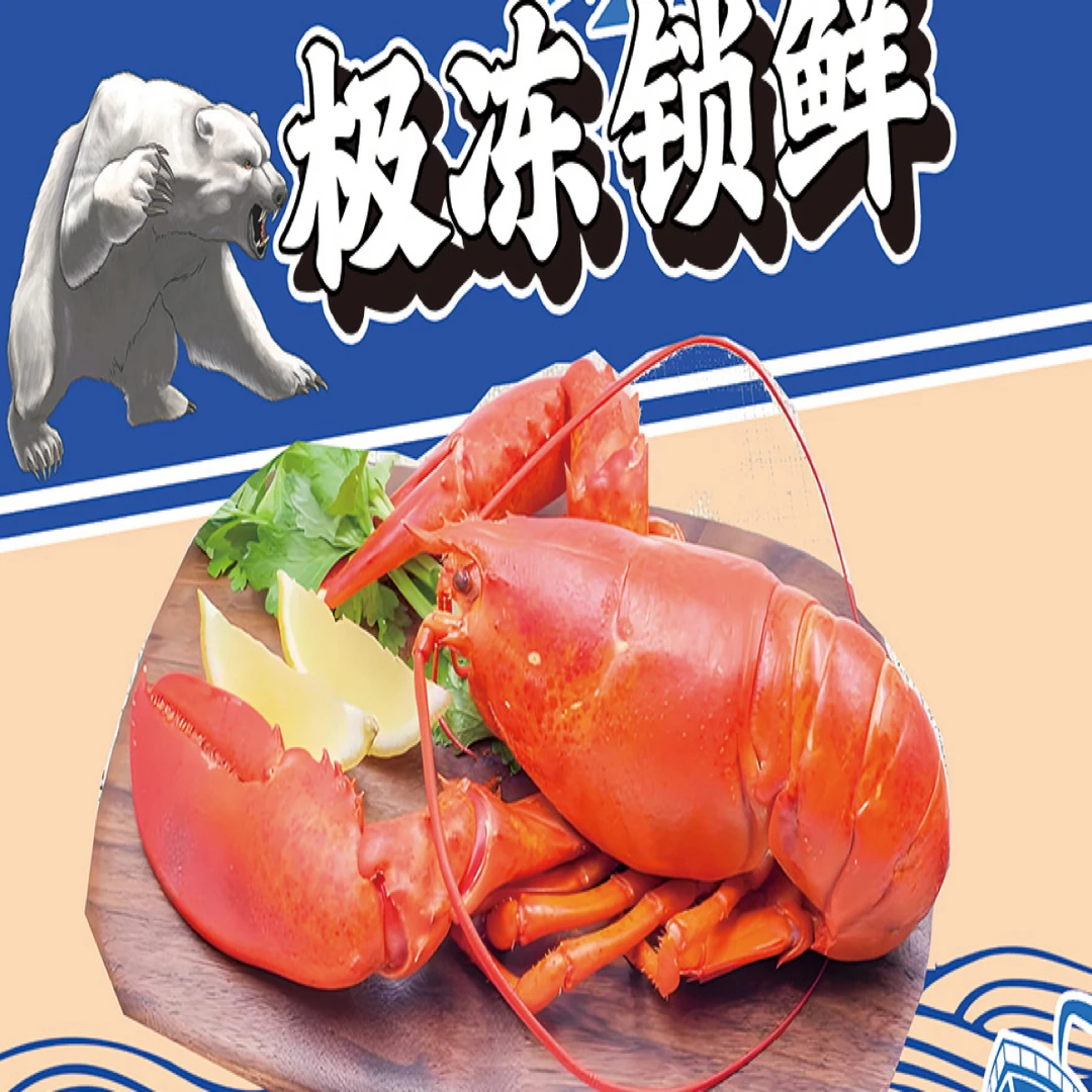 （10）极冻锁鲜｜熟冻波士顿龙虾1只500g