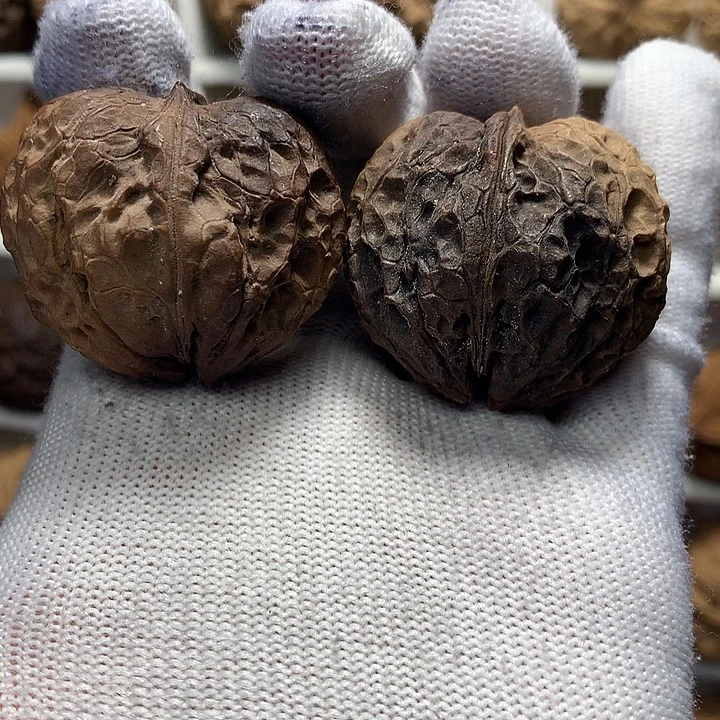 核桃38尺花彩小爱心29号