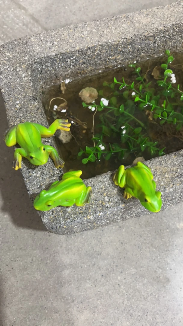 小青蛙三件套摆件