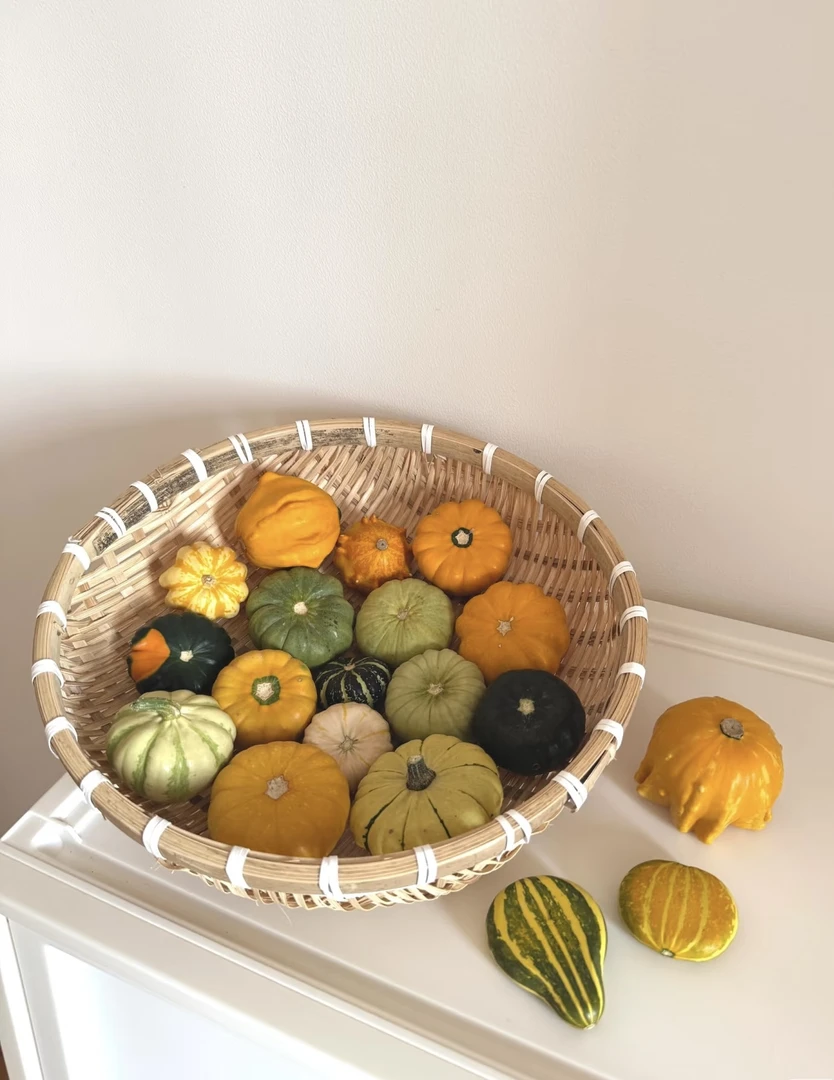 精选墨西哥葫芦摆件可盘玩可当装饰，（直播间选款）请勿自主下单