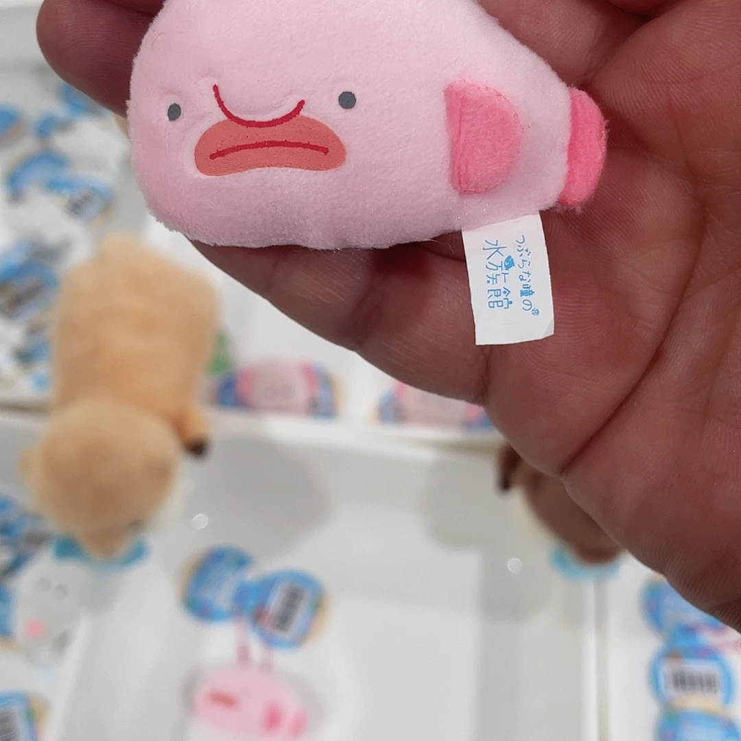 毛绒小满家毛绒可爱