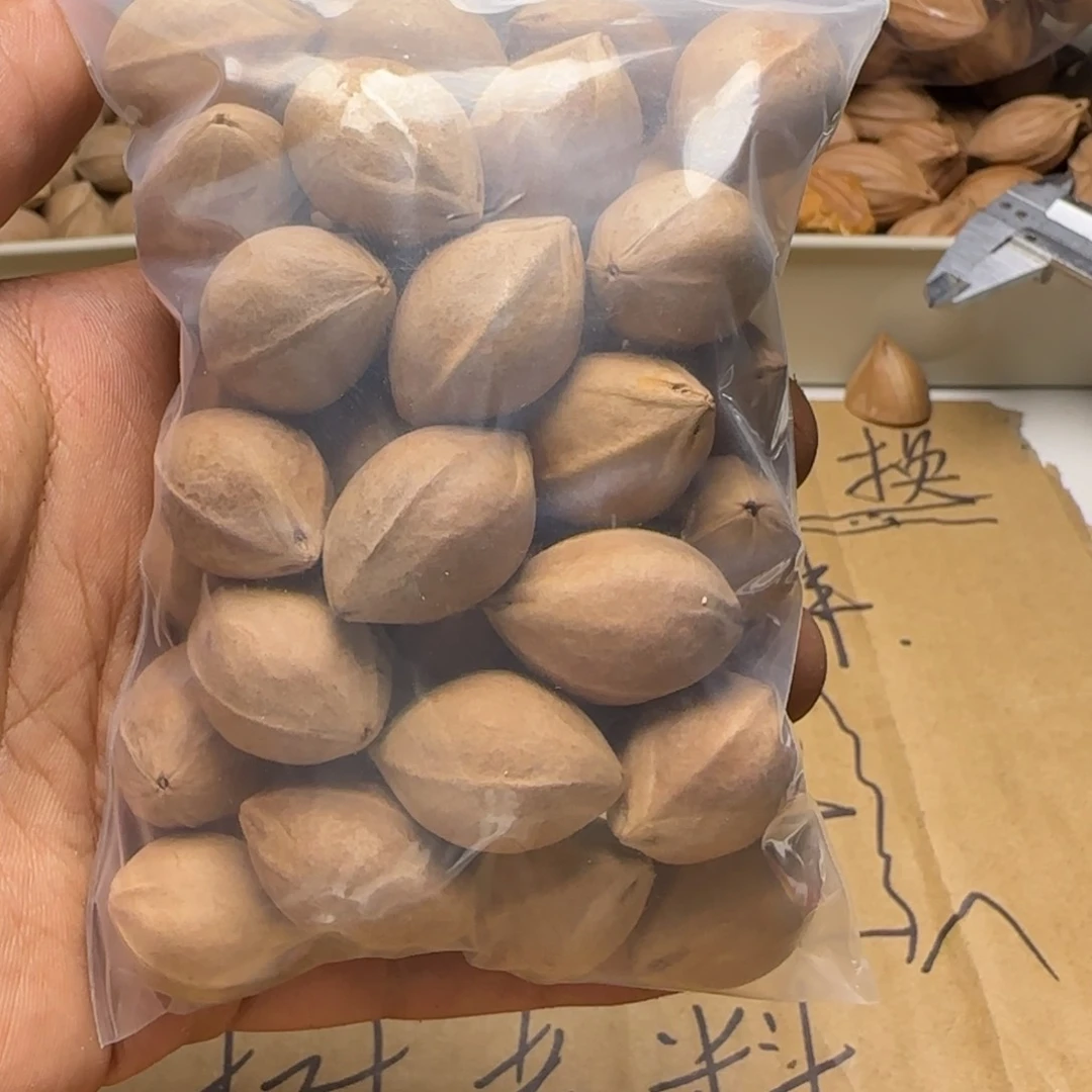 【闪购商品】橄榄核手串/手链喵****11111111