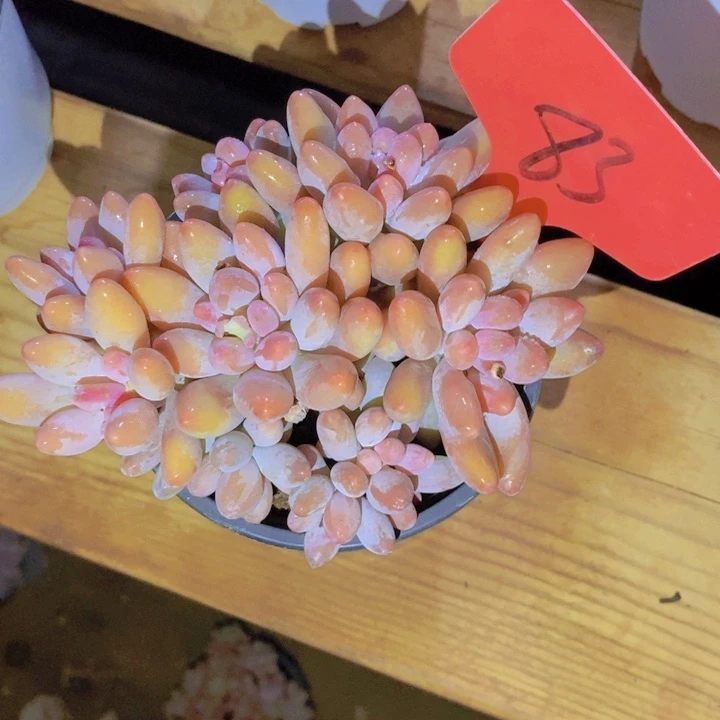 这么久不回来也没什么