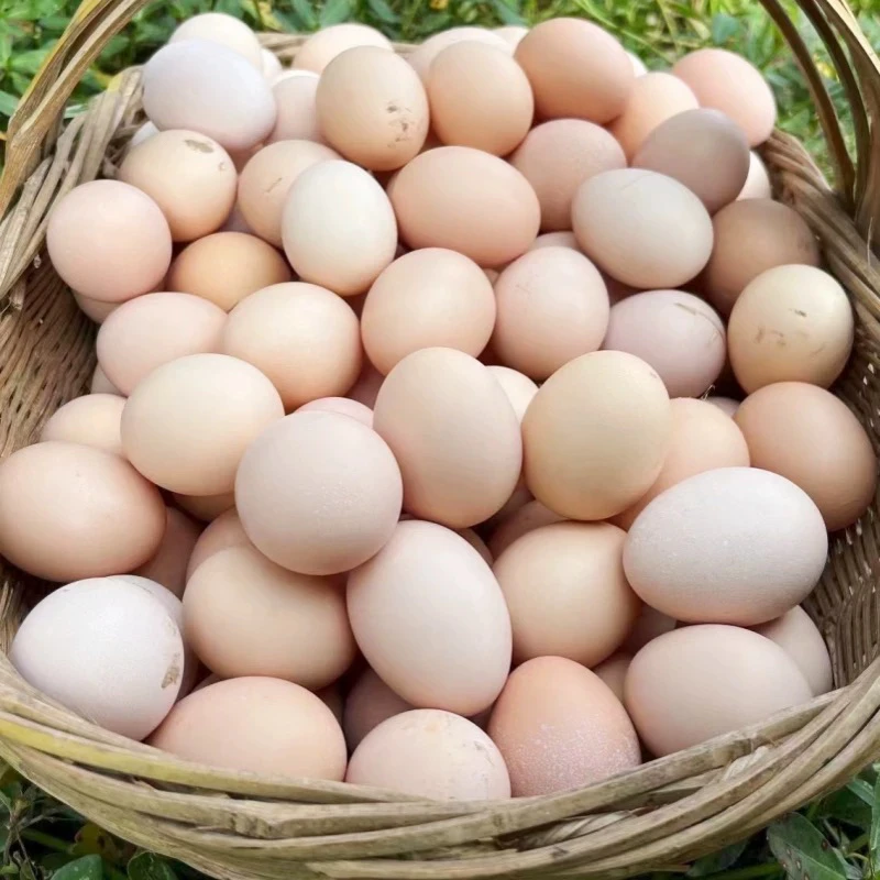 【小赵书记专属】蓟县山林散养粉壳柴鸡蛋【拍40枚送10枚共50枚】包邮