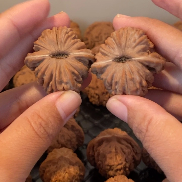 开***天核桃文玩四座楼 38