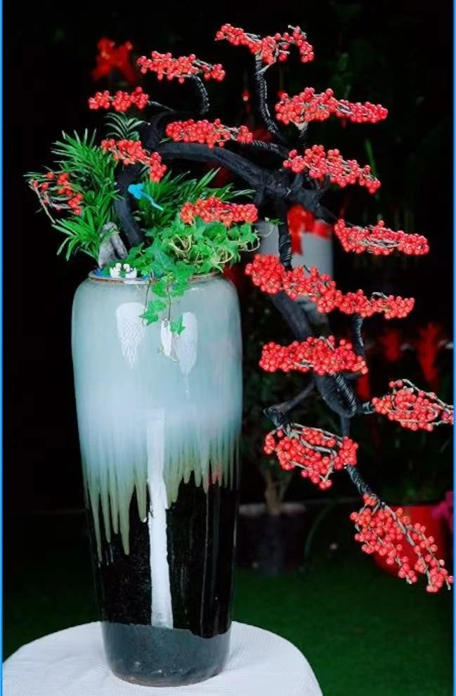 北美冬青绿植室内阳台绿植好看带陶瓷盆肥料包邮到家