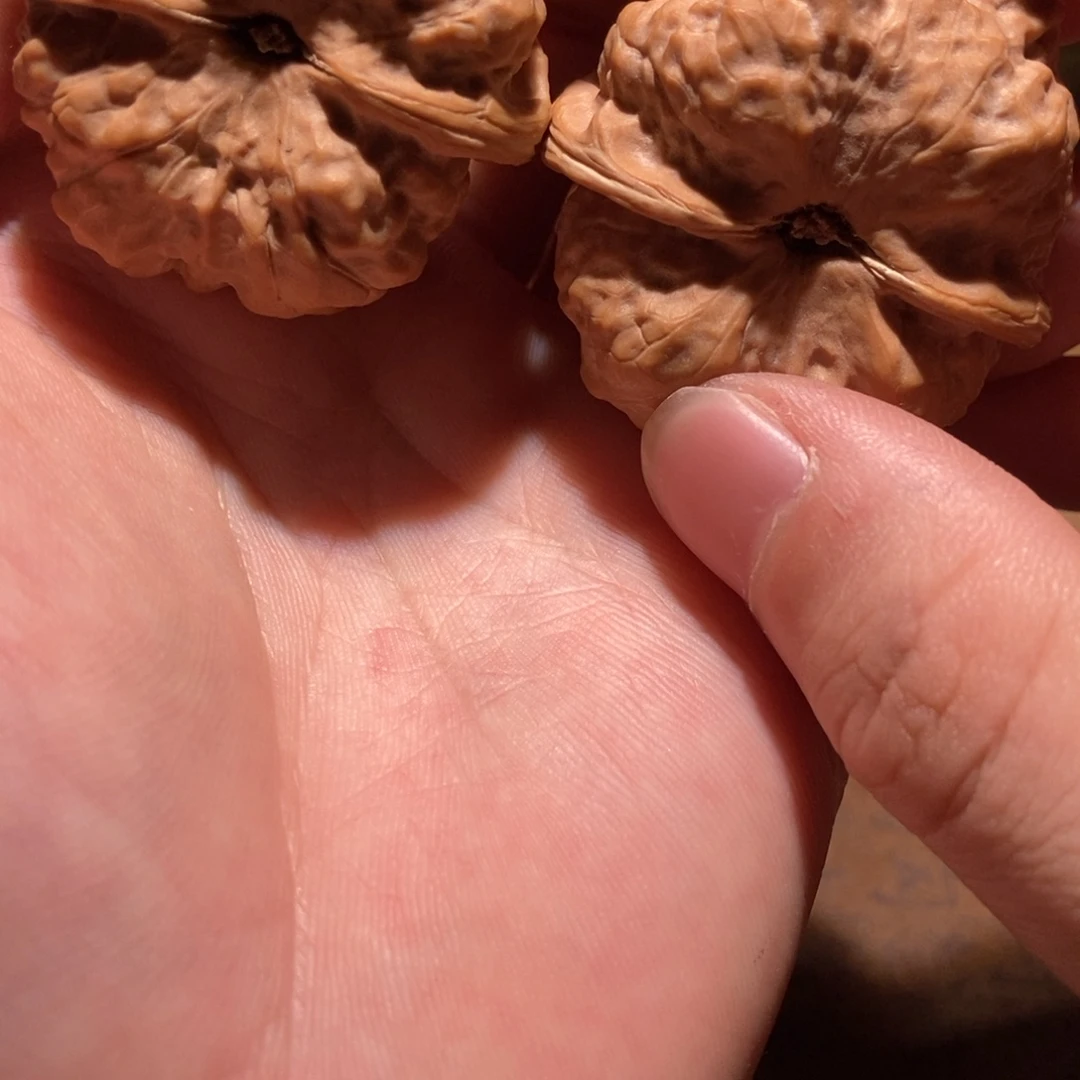 *****吊坠文玩核桃蛤蟆头D22