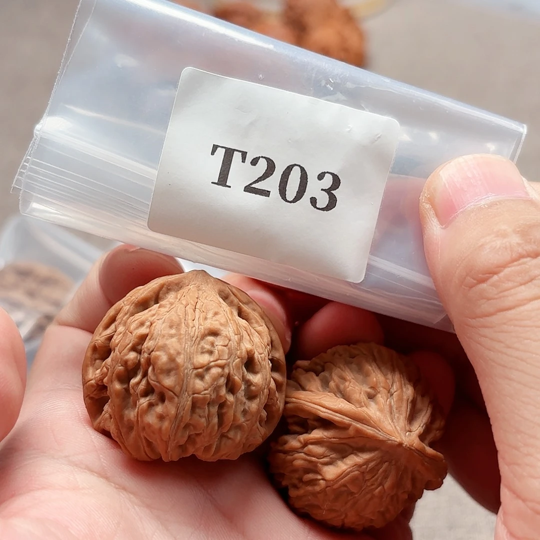 把件文玩核桃黄杆T203