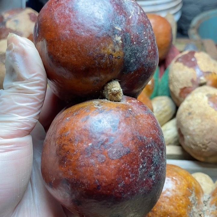 千眼菩提把件菩提