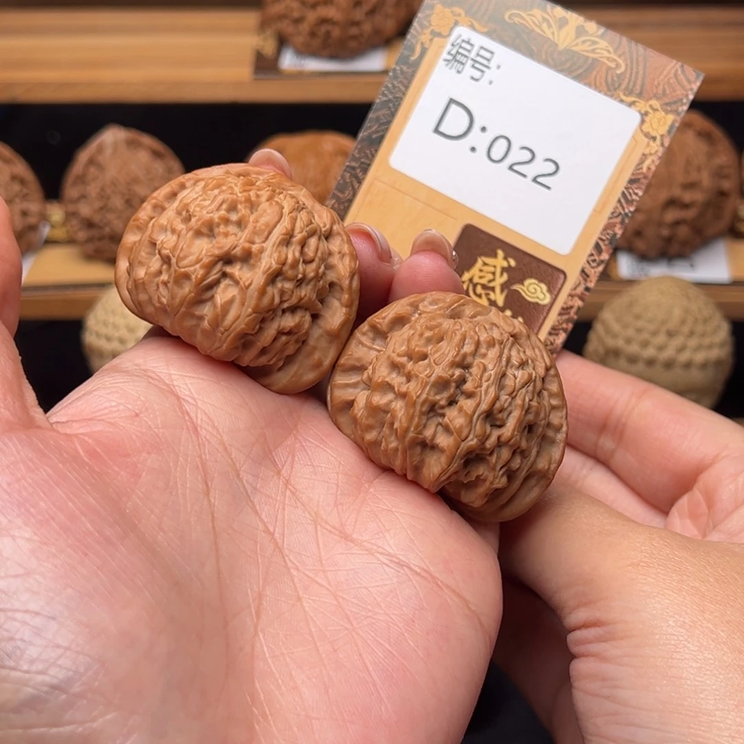 核桃d022白狮子4.2全品