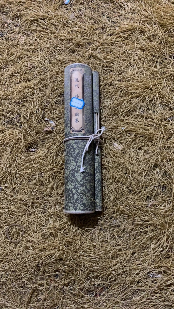 【闪购链接】张手卷3.3