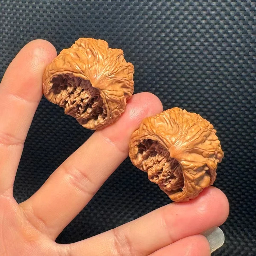 宫灯异型蛇王直播链接