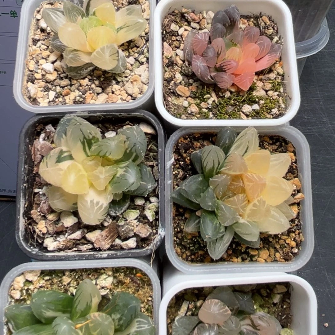 恭喜发财大吉大利1111