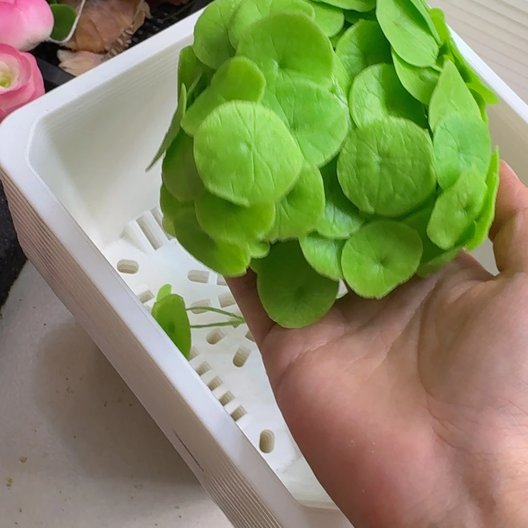 树脂制品11号8根噢噢噢噢