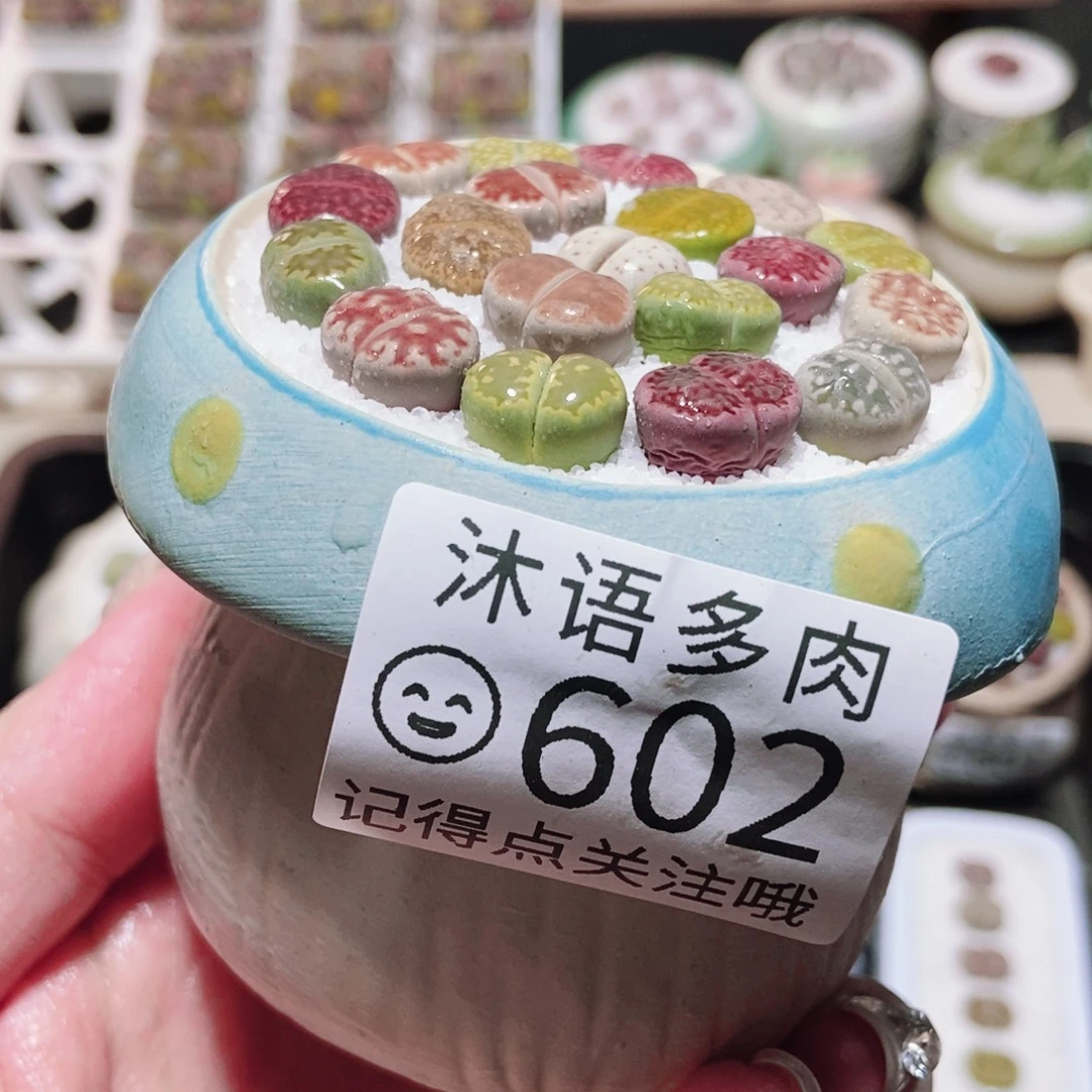 一物一拍 所见即所得 602