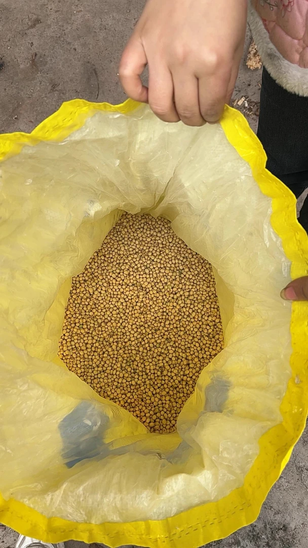 正宗农家今年新豆 （黄豆、黑豆、绿豆、饭豆）