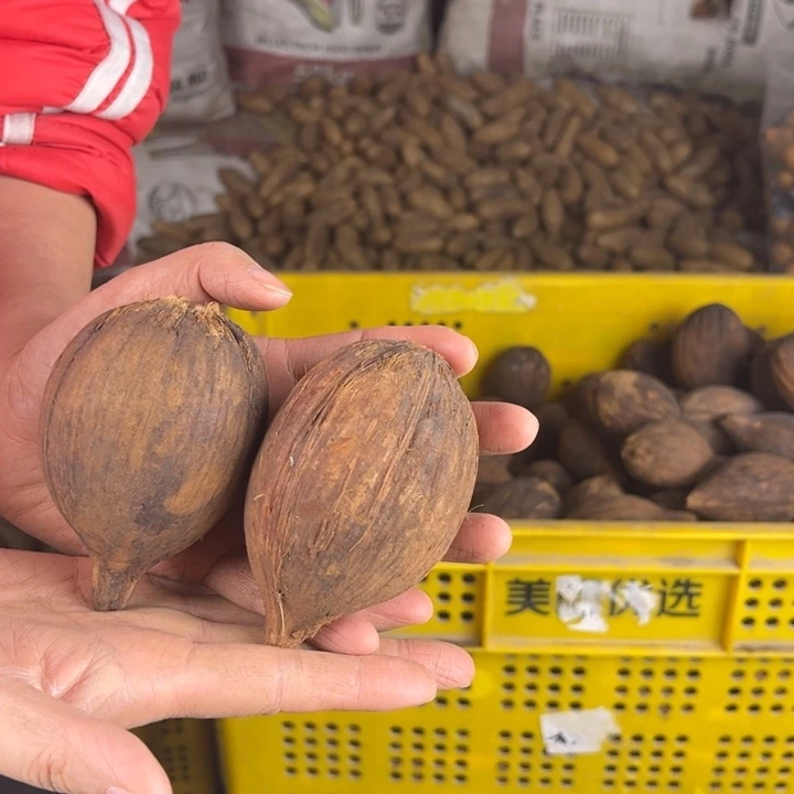 今***你吊坠库克库克90号