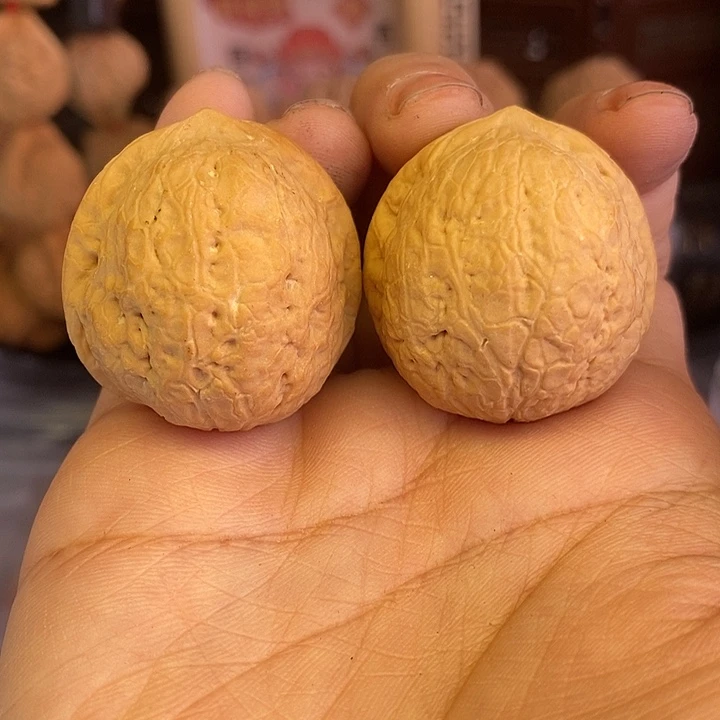 文玩核桃吊坠金龟子