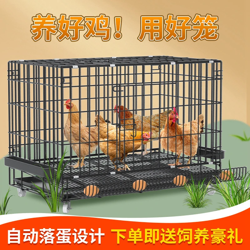 鸡笼子大号特大养殖笼自动清粪鸡舍家用家庭鸡笼多层鸡笼鸭笼狗笼