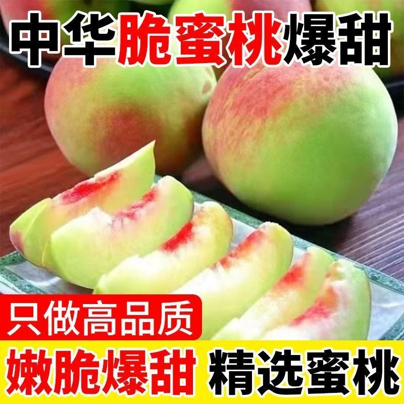 赞鲜达山东青州蜜桃脆甜多汁离核新鲜秋冬当季水果毛桃脆桃冬桃