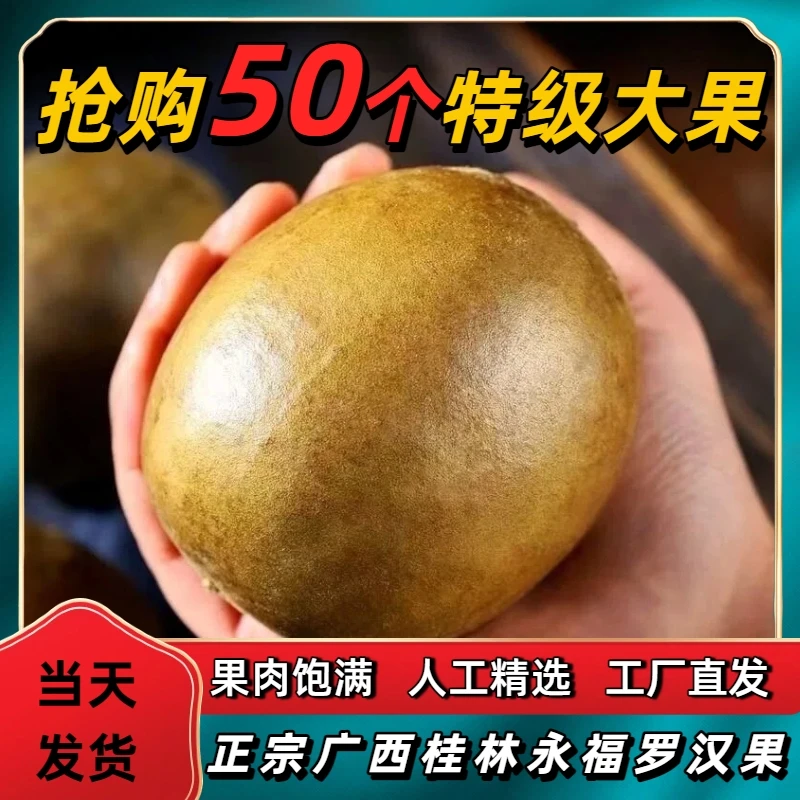 广西桂林正宗特级罗汉果干果特大果果芯搭配胖大海野生罗汉果润喉