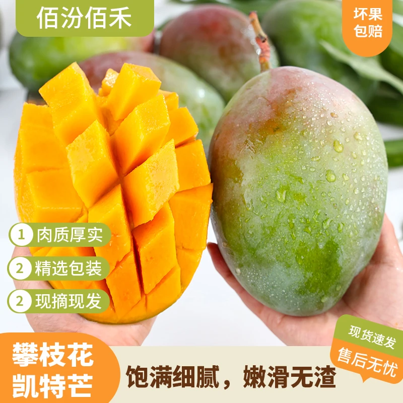 【佰汾优选】四川高山攀枝花凯特芒带箱9-10斤热带芒果 多仓发货 S